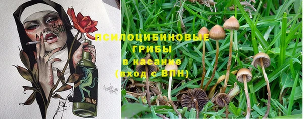 альфа пвп Дмитровск
