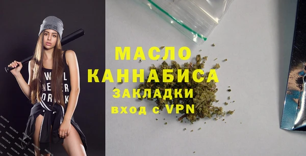 молекула духа Ельня