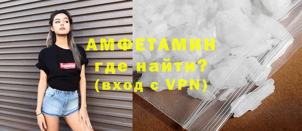 молекула духа Ельня