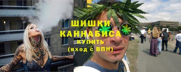 молекула духа Ельня