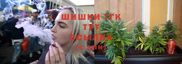 молекула духа Ельня