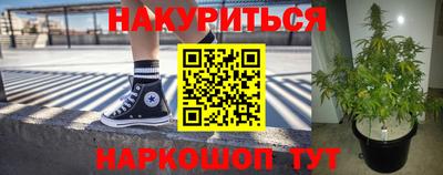 гидра Уссурийск