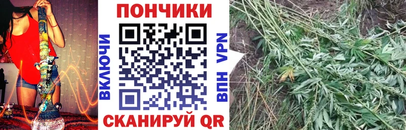 дарнет шоп  Искитим  Шишки марихуана Amnesia 